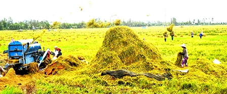 SẴN SÀNG TỔNG ĐIỀU TRA NÔNG THÔN, 
NÔNG NGHIỆP VÀ THỦY SẢN NĂM 2016