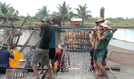 Nhiều giải pháp 
đẩy mạnh xuất khẩu