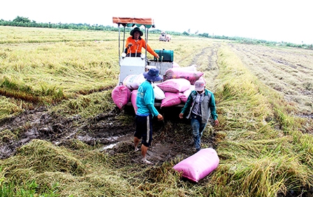 Quyết tâm đạt mức tăng trưởng
kinh tế cao những tháng cuối năm