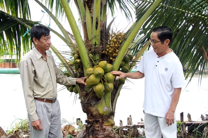 Chung sức xây dựng quê hương