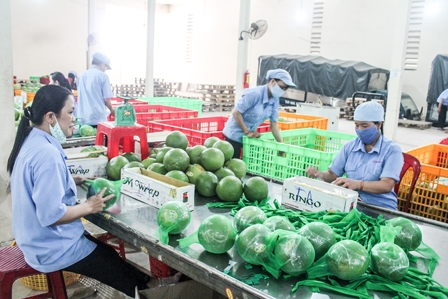 Tìm “tiếng nói chung” 
để đồng bằng phát triển bền vững