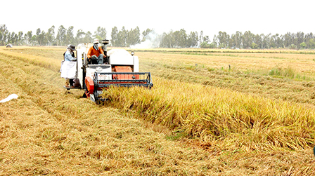 ĐBSCL CHỦ ĐỘNG HỘI NHẬP VÀ PHÁT TRIỂN BỀN VỮNG