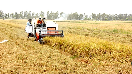 ĐBSCL CHỦ ĐỘNG HỘI NHẬP VÀ PHÁT TRIỂN BỀN VỮNG