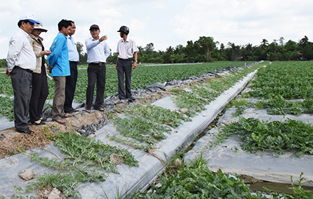 Thực hiện nhiều giải pháp hoàn thành
chỉ tiêu nông thôn mới