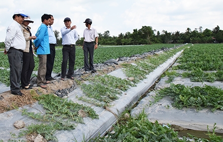 Thực hiện nhiều giải pháp hoàn thành
chỉ tiêu nông thôn mới
