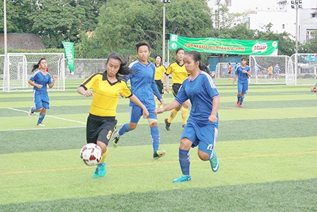 Các đội thể thao Cần Thơ “không vui” trước ngày ra trận