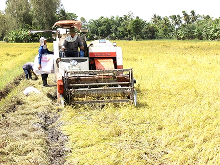 NÂNG CAO CHUỖI GIÁ TRỊ NÔNG NGHIỆP