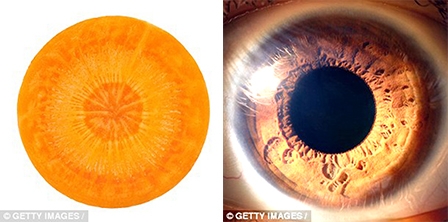 Hình dáng rau quả ẩn chứa “manh mối” về lợi ích sức khỏe