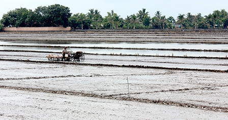 ĐỔI MỚI TƯ DUY SẢN XUẤT CỦA NÔNG DÂN