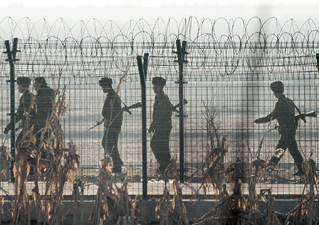 Triều Tiên tố Hàn Quốc thả rắn qua biên giới