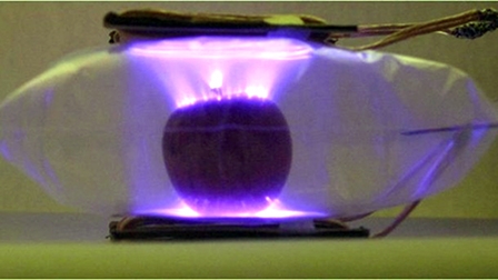 Những giải pháp mới giúp hạn chế lãng phí thực phẩm