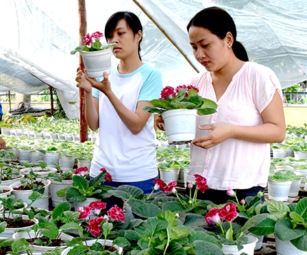 PHÁT TRIỂN NỀN NÔNG NGHIỆP THÔNG MINH
CHO VÙNG ĐBSCL