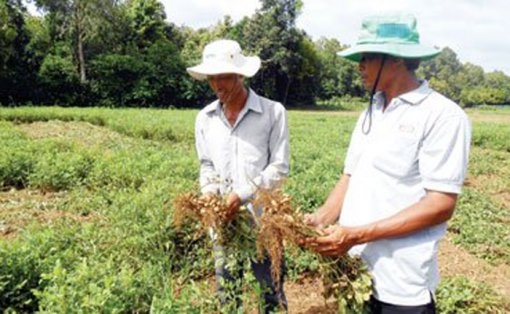 ជួយប្រជាជនអភិវឌ្ឍសេដ្ឋកិច្ច