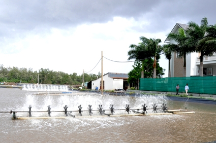 Bài toán nuôi tôm hiệu quả