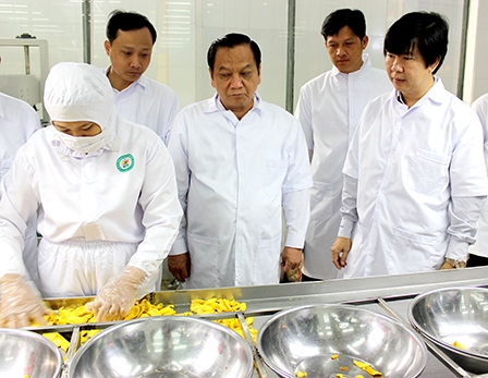 Lãnh đạo thành phố tham quan hoạt động doanh nghiệp tại Khu công nghiệp Trà Nóc