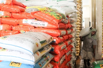 Giá phân bón ổn định ở mức thấp