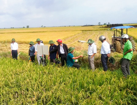 ĐƯA OM ĐẾN ĐÔNG NAM BỘ VÀ NAM TRUNG BỘ