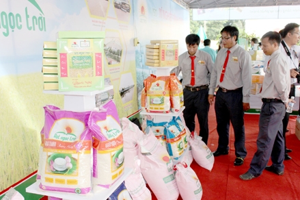 Gắn logo cho gạo Việt:  nói dễ, nhưng làm không dễ