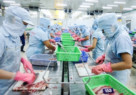 Tận dụng cơ hội và lợi thế từ các hiệp định thương mại tự do