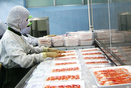 Khai thác cơ hội mới từ các ngành hàng tiềm năng