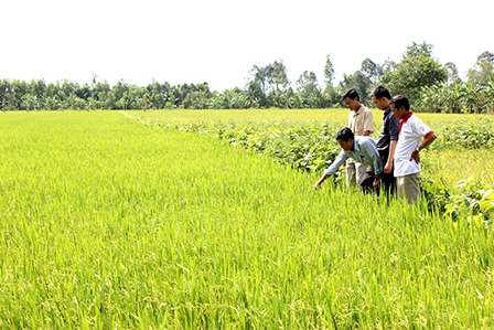 “3 giảm, 3 tăng”  
đang phát huy hiệu quả