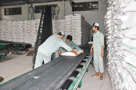Ngành mía đường - Tìm giải pháp nâng cao năng lực cạnh tranh