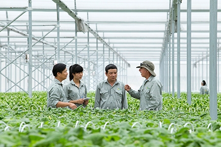 Vingroup liên kết với 1.000 hợp tác xã và hộ nông dân
cung ứng nông sản sạch và an toàn