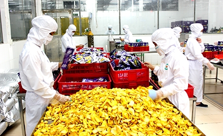 Mở lối cho ngành chế biến nông sản