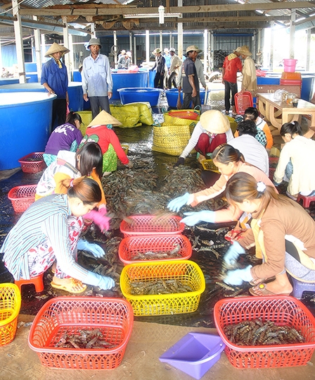 Phát triển hài hòa!