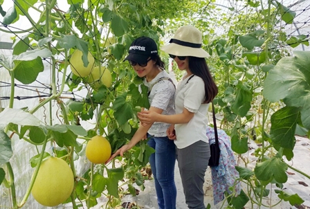 Cantho Farm và bước khởi đầu sản xuất thực phẩm sạch