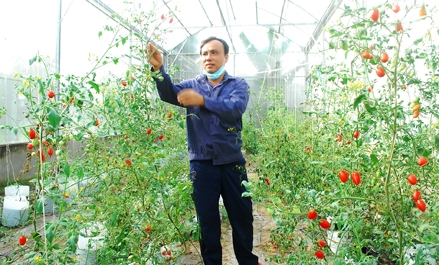 Sản xuất nông nghiệp an toàn