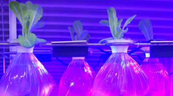 Nông trại nổi trên biển GrowFrame