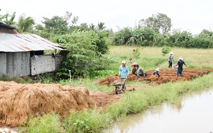 Bình Thủy phát triển nghề trồng nấm