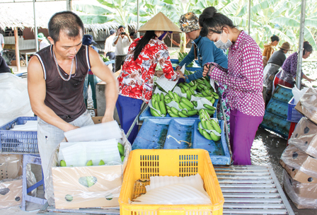 Nhiều giải pháp thúc đẩy
tăng trưởng xuất khẩu