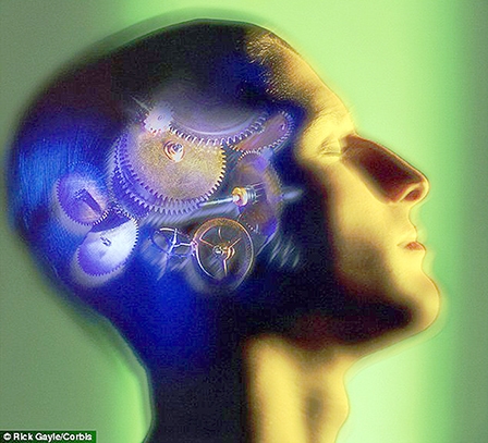 Những điều lý thú về đồng hồ sinh học trong cơ thể