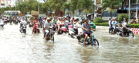 Liên kết xây dựng 
các mô hình 
đô thị bền vững