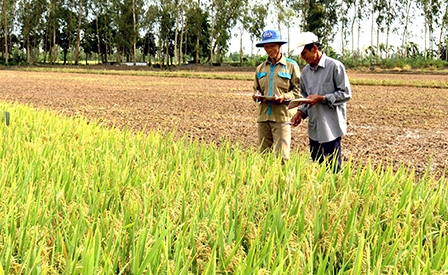 Trợ lực cho các hợp tác xã nâng cao 
năng lực hoạt động