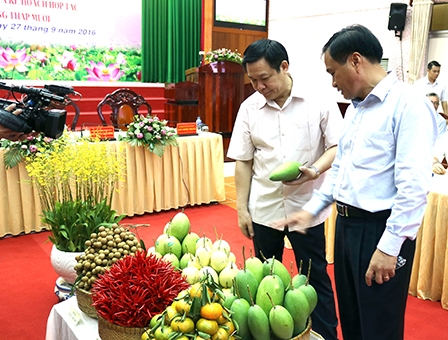 Tái cơ cấu nông nghiệp, tạo giá trị gia tăng 
cho nông sản vùng ĐBSCL