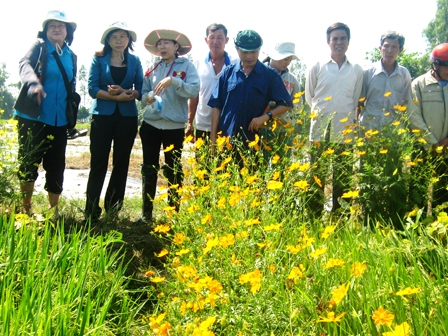 Ngành nông nghiệp thành phố sẵn sàng hội nhập