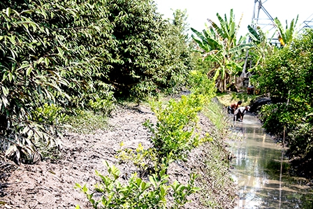 Biến đổi khí hậu nhanh hơn, 
sẽ thiếu nước ở vùng sông nước Cửu Long