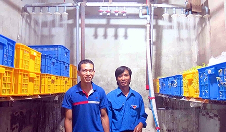 Độc đáo hệ thống 
tưới tự động để làm giá