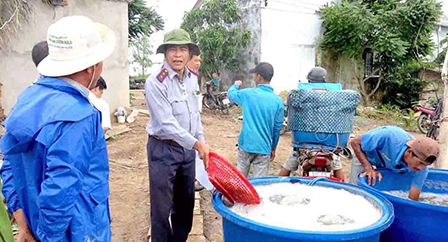 Nói không với thuốc 
ngoài danh mục cho phép