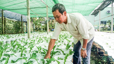 Bình Thủy: Nông dân làng hoa kiểng Phó Thọ-Bà Bộ xuống giống hoa Tết 2017