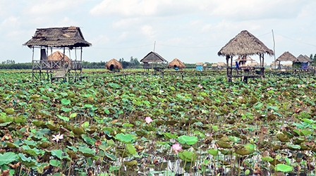 Hai ngày với Đồng Tháp Mười
