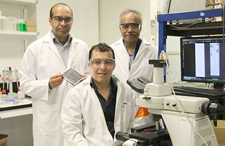 Phát triển thiết bị phát hiện
vi khuẩn kháng thuốc