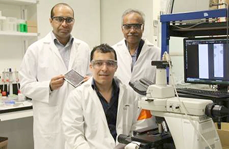 Phát triển thiết bị phát hiện 

vi khuẩn kháng thuốc