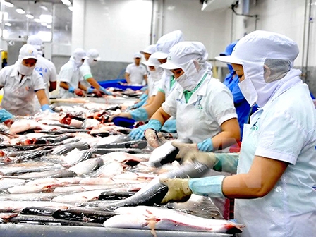 Cơ hội lớn cho các 
doanh nghiệp xuất khẩu