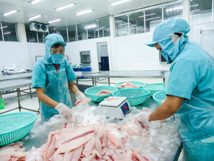 Hiệu quả từ hoạt động tiết kiệm điện