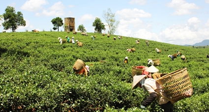 Hai ngày ở xứ BLao