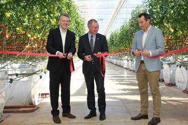 Sundrop Farms - Nông trại vận hành bằng ánh nắng và nước biển